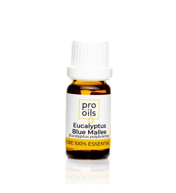 Pro Oils Essential Oil - Eucalyptus Blue Mallee