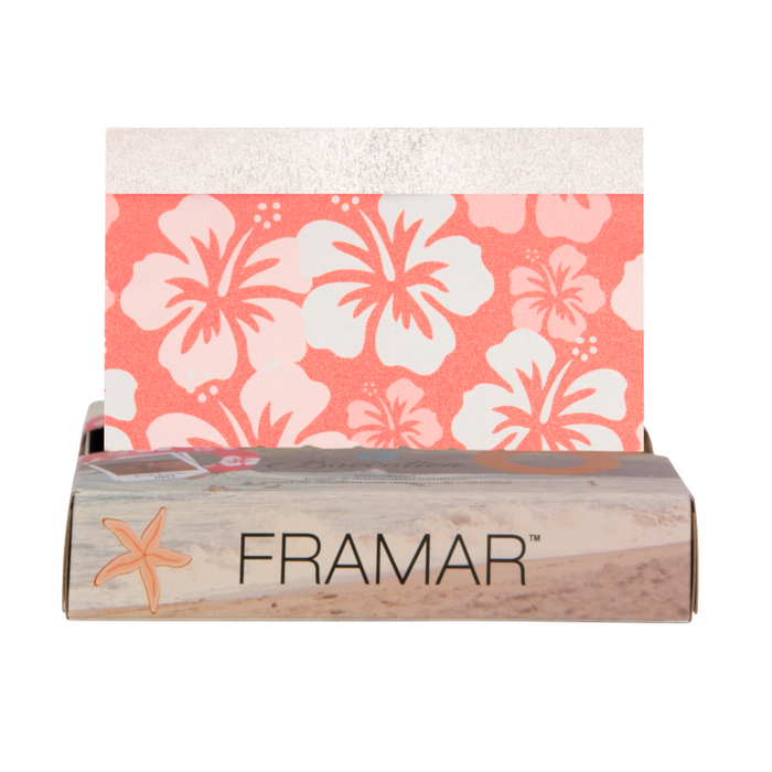 Framar Baecation Colourist Kit